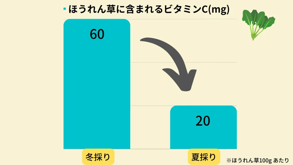 食べチョクコンシェルジュを管理栄養士がおすすめする3つの理由｜みんなが知らない新鮮な旬の野菜のメリットとは？