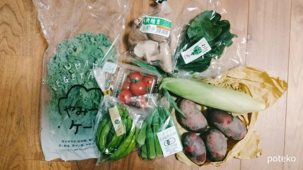 坂ノ途中の野菜の口コミ・評判は？実際に利用してわかったメリット・デメリット