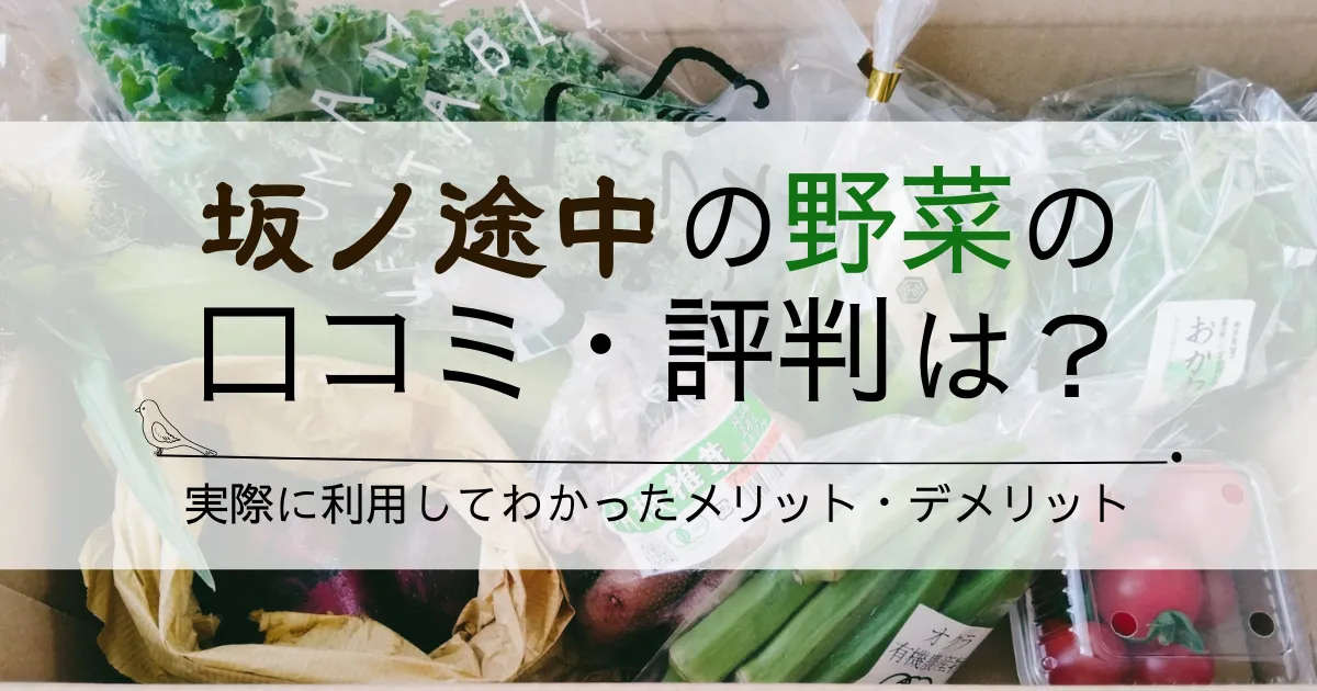 坂ノ途中の野菜の口コミ・評判は？実際に利用してわかったメリット・デメリット