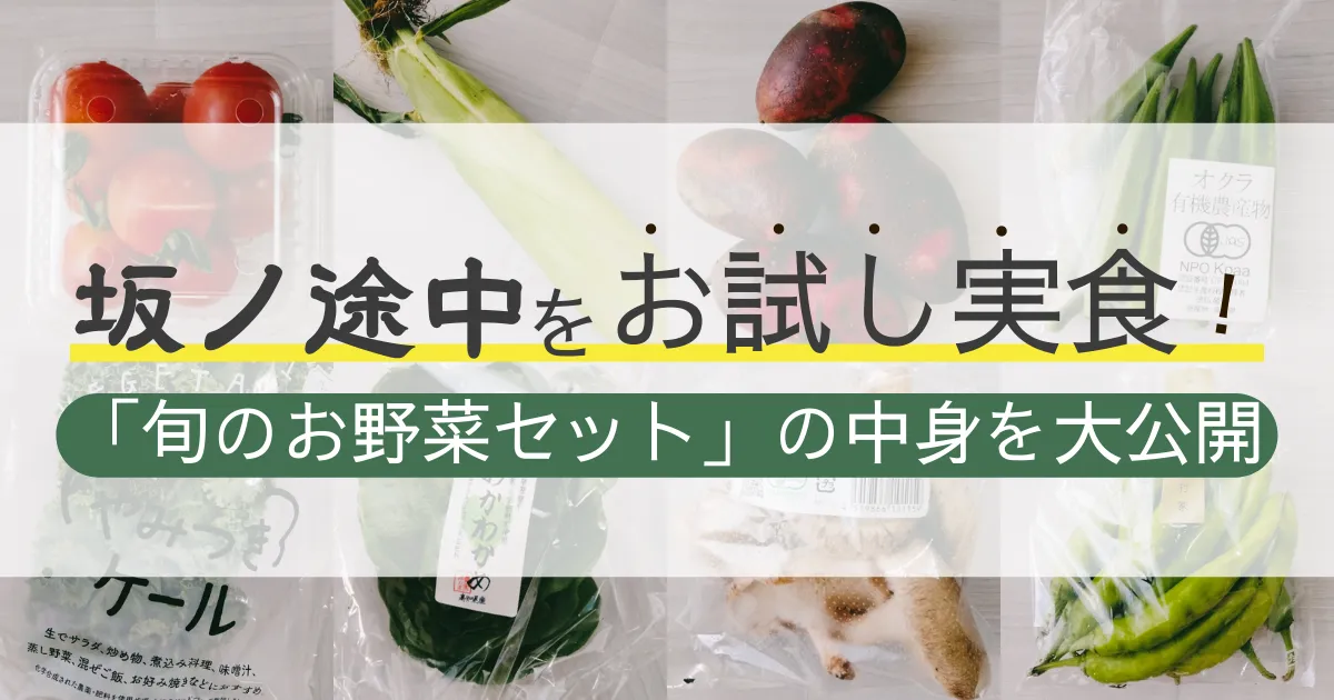 坂ノ途中をお試し実食！「旬のお野菜セット」の中身を大公開 