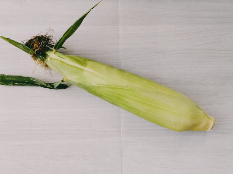 坂ノ途中をお試し実食！「旬のお野菜セット」の中身を大公開 